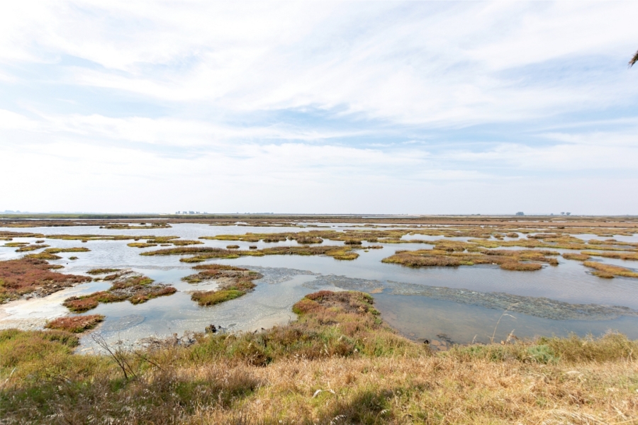 3 Bedroom Property for Sale in Velddrif Western Cape